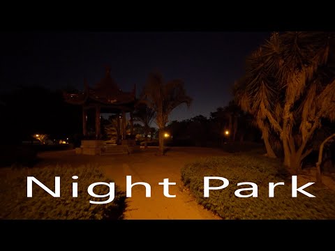 Park at Night in Ness Ziona City