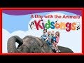 Kidsongs Do Your Ears Hang Low Nursery Rhyme Animal Song For Kids Real Kids Songs PBS Kids
