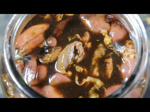 How to Make Liver Hydrolysate for MONSTER CARP Bait Making..