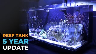 Nano Reef Tank Update Year 5 | Blue Reef Tank