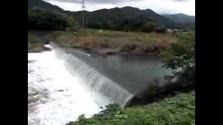 preview picture of video '台風１７号　渇水していた川が洪水寸前　Typhoon No. 17   Kochi   Misaki river'