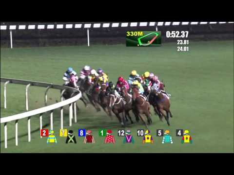 Mr Stunning - Karis Teetan (24 February)