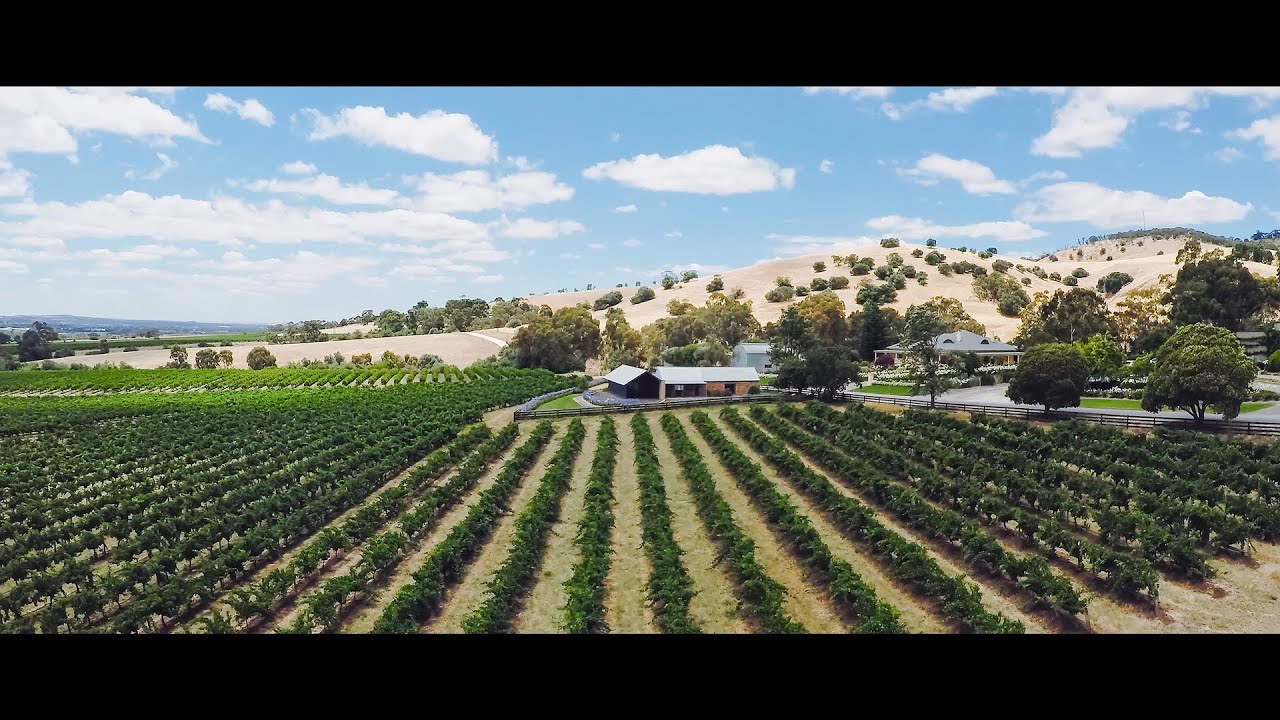 Taste Down South Trailer