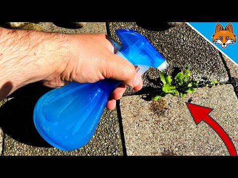 Ich habe das Unkraut DAMIT eingesprüht und war ERSTAUNT über das Ergebnis 🤯 (SUPER Einfach) 💥