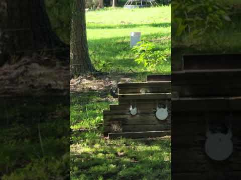 First Shots, With PCP.