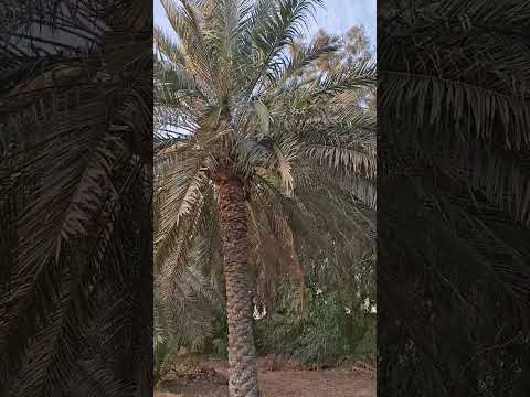 The beauty of Nature. Thankful to GOD for every morning I wake up.