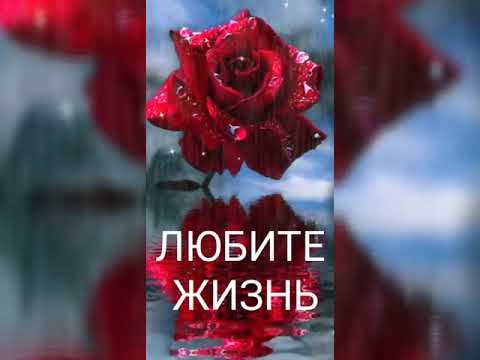 ТУК !!! ТУК !!! ВСТРЕЧАЕМ НОВЫЙ ДЕНЬ !!!