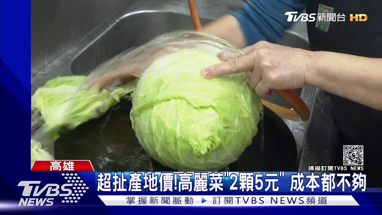 高麗菜2顆5元!「珍奶炒菜」 創意料理救菜農