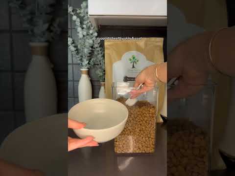 Complete & Balanced Dog Food