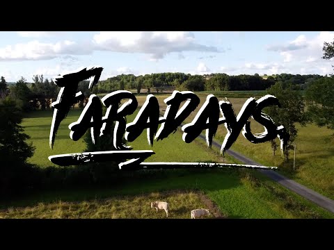 Aftermovie BEACH PARTY 2021