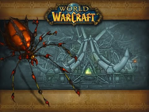 WoW WotLK Classic - Naxxramas 25man (Immortal) - Protection Paladin