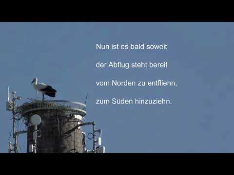 Abschied von unseren Störchen - Gedicht von EM SA