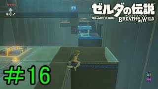 【実況】見落としが多い勇者の冒険part16【ブレスオブザワイルド】