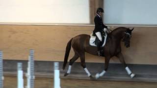 Video koně Tassima Coco