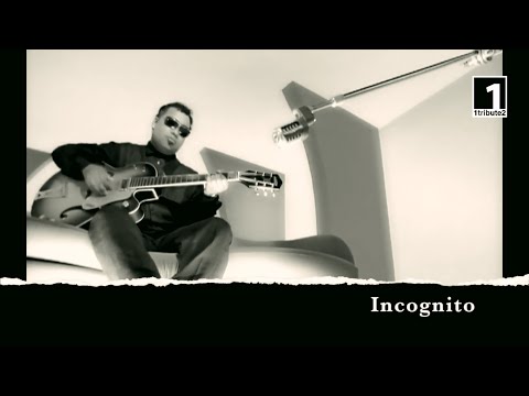 1tribute2... Incognito (2024) - A Tribute to Bluey and his band