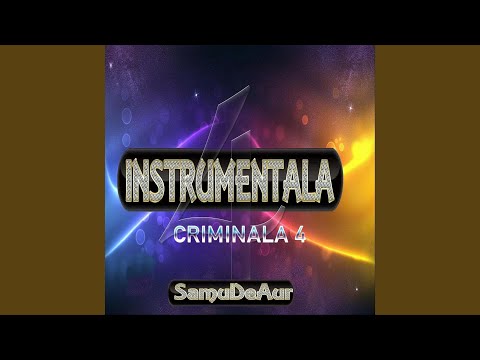 Instrumentala Criminala 4