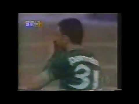 Palmeiras 2 x 0 Guarani - Campeonato Brasileiro 2000