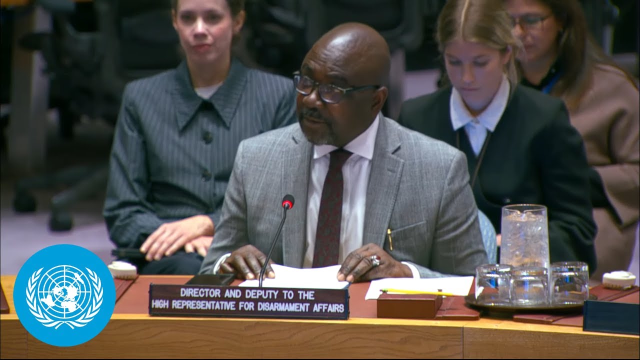 Small Arms: 48,000 conflict-related civilian deaths - Security Council Briefing | United Nations