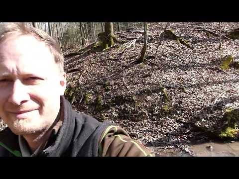 Förster Klaus - Waldgruß #4 - Aaronstab