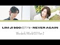 Lim Ji Soo 임지수 Never Again 원더풀 월드 Wonderful World OST Part 2