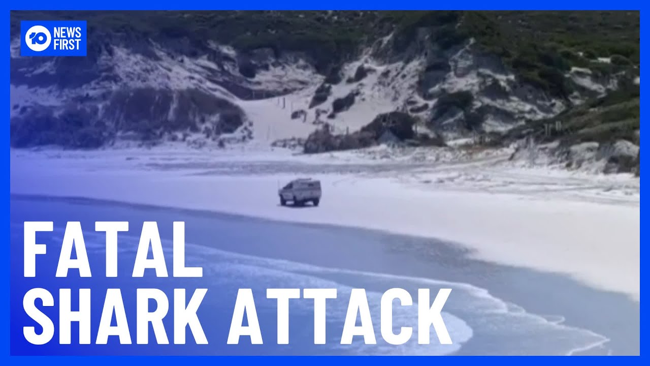 Victim Of Fatal Shark Attack In Perth Identified | 10 News First