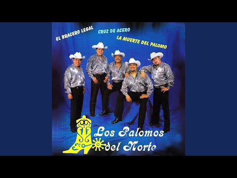 Cuanto Vale Tu Cariño