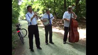 Rudi Richard's Rambling Racoons - Petite Fleur