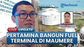 Jamin Stok BBM Kebutuhan Masyarakat, Pertamina Bangun Fuel Terminal Terbesar di Maumere Flores NTT