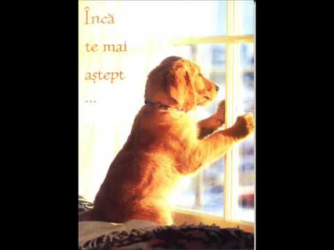 vrei sa fii iubita mea