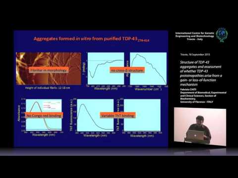 F. Chiti - Structure of TDP-43 aggregates and assessment of whether TDP-43 proteinopathies..
