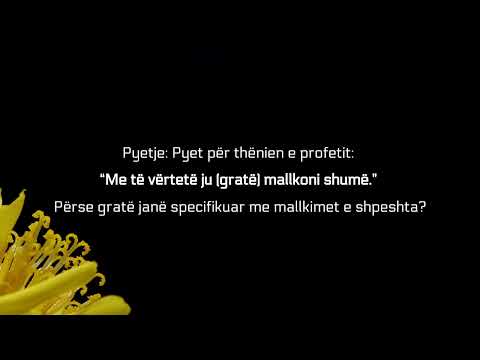Vërtet ju gratë mallkoni shumë - Feuzan