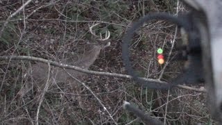 Deer Hunting the Rut 2013 November 9th