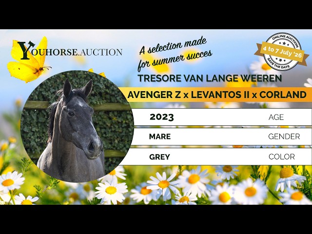 Tresore van Lange Weeren