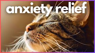 Magic Calming Music for Cats 🐱 Sleep Music for Anxiety & Relaxation ✨