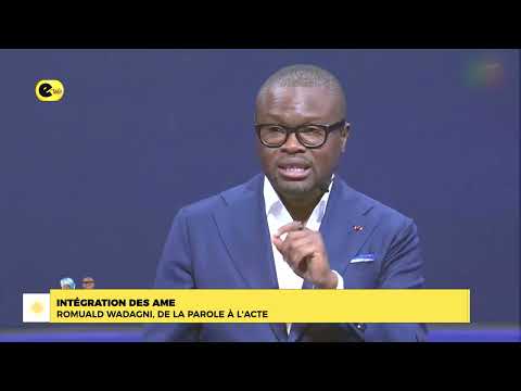 INTÉGRATION DES AME