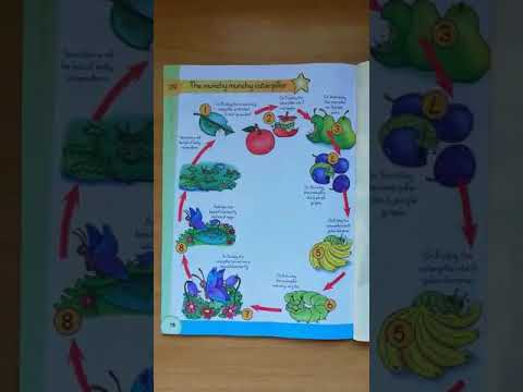 Dag 83 Engels Addisonele Taal - Honger ruspe