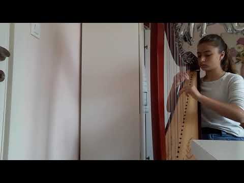 Sabine Chefson-variations sur greensleeves