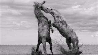 Julien Jabre War (Claptone Remix)