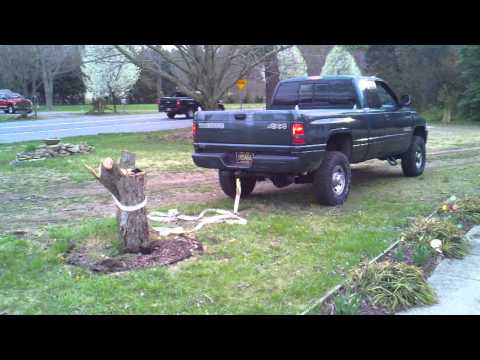 Stump Pulling