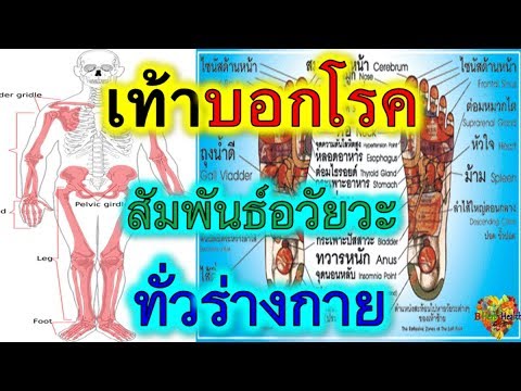 การอักเสบของไตแรง เพราะสิ่งที่คนน้อยกระเจี๊ยว
