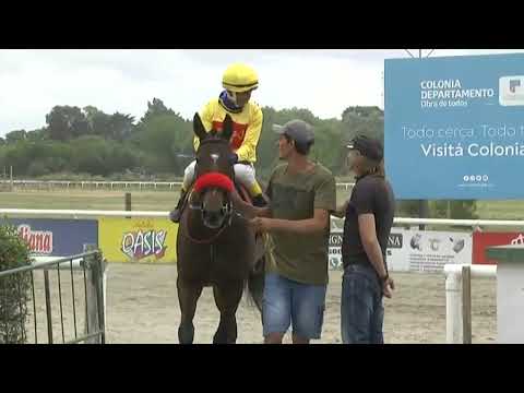 SINT COLONIA 221113 c07- 1° CACHETUDA