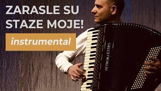 Download lagu Zarasle su staze moje • Harmonika instrumental | Vlada Veselinović mp3 Download lagu Zarasle su staze moje • Harmonika instrumental | Vlada Veselinović mp3