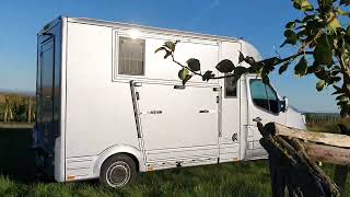 Transport de chevaux Renault Master à vendre - Image 4 | Autoline FR Transport de chevaux Renault Master | Image 4 - Autoline