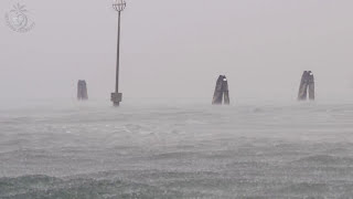 🎧 Sound Of Rain On Water & Ocean Waves Ambience For Relaxation And To Fall Asleep More Easily