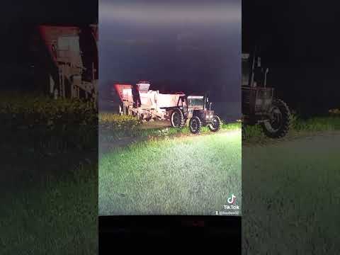 on garde la patate!!!