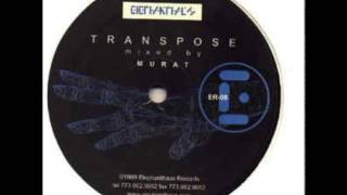 murat - transpose  - a2