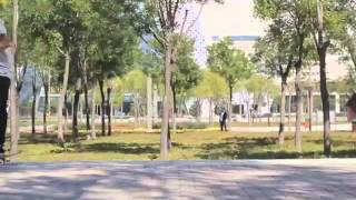 Distillers - Seneca Falls