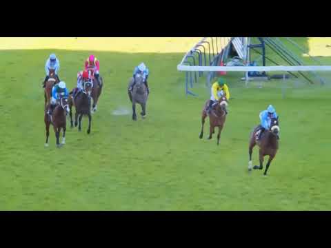 INARA'S DYNASTY - RACE 7 #kenilworth 28 AUGUST 2022