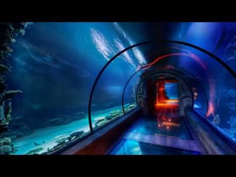 Maxim Vozisov: The Tunnel 343 (Spacebeat Remix)