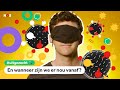 Hoe zit het met de nieuwe versies van het corona-virus? | UITGEZOCHT #29